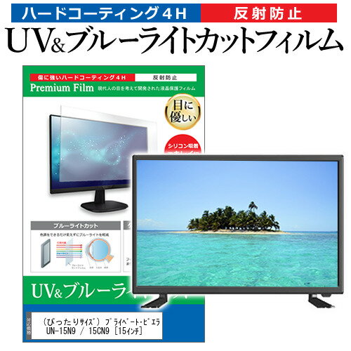 (ぴったりサイズ) プライベート・ビエラ UN-15N9 / 15CN9  機種で使える ブルーライトカット 反射防止 指紋防止 液晶TV 保護フィルム メール便送料無料