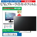 ハイセンス 55X8F 55インチ 液晶 テレビ 保護フィルム ブルーライトカット 55型 反射防止 パネル 画面 モニター 破損 防止