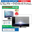 ＼20日は最大ポイント5倍 ／ ダイアモンドヘッド OVER TIME OT-FT101TE 10.1インチ 機種で使える ブルーライトカット 反射防止 指紋防止 液晶TV 保護フィルム メール便送料無料