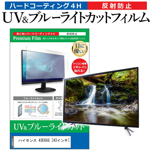 ハイセンス 43E65G 43インチ 保護 フィルム カバー シート ブルーライトカット 反射防止 指紋防止 テレビ用 液晶保護フィルム メール便送料無料