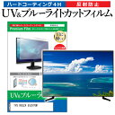 ＼10日はポイント10倍 ／ TVS REGZA 55Z870M 55インチ 保護 フィルム カバー シート ブルーライトカット 反射防止 指紋防止 テレビ用 液晶保護フィルム メール便送料無料