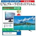 ＼5日はポイント最大5倍／ TVS REGZA 43