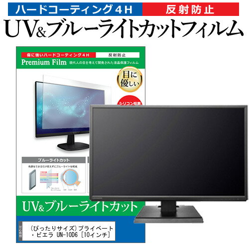 (ぴったりサイズ)プライベート・ビエラ UN-10D6 [10インチ]機種で使える ブルーライトカット 反射防止 指紋防止 液晶TV 保護フィルム メール便送料無料