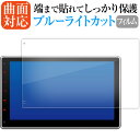 \15日はポイント最大5倍!!/ XTRONS TIX125L ( 10.1インチ ) 液晶保護 フィルム 曲面対応 ブルーライトカット jgs bgt