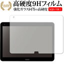 raytrektab DG-D10IWP 用 /ドスパラ専用 強化 ガラスフィルム と 同等の 高硬度9H 液晶保護フィルム メール便送料無料