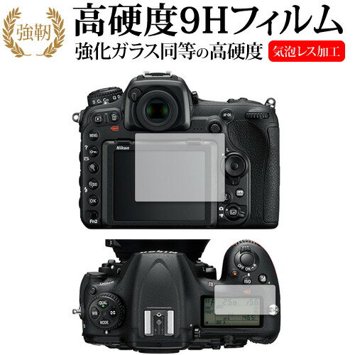 Nikon D500 [ᥤ ] ݸ ե 9H