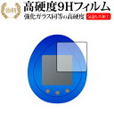 R2-D2 TAMAGOTCHI (R2-D2 たまごっち) 保護 フィルム 強化ガラス と 同等の 高硬度9H メール便送料無料