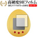 BANDAI JURASSIC WORLD TAMAGOTCHI (ジュラシック・ワールド たまごっち) 保護 フィルム 高硬度9H jgs bgt