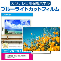 三菱電機 REAL LCD-A40BHR11 [40インチ] 液晶テレビ保護パネル 40型 ブルーライトカット テレビ保護パネル 40インチ 保護 フィルム 画面 モニター 破損 防止 有機ELテレビ UV 保護 テレビガード 薄型 カバー