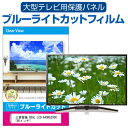 三菱電機 REAL LCD-A40RA2000  液晶テレビ保護パネル 40型 ブルーライトカット テレビ保護パネル 40インチ 保護 フィルム 画面 モニター 破損 防止 有機ELテレビ UV 保護 テレビガード 薄型 カバー