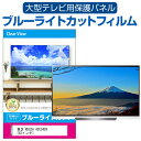 東芝 REGZA 43C340X 43インチ 液晶テレビ保護パネル 43型 ブルーライトカット テレビ保護パネル 43インチ 保護 フィルム 画面 モニター 破損 防止 有機ELテレビ UV 保護 テレビガード 薄型 カバー