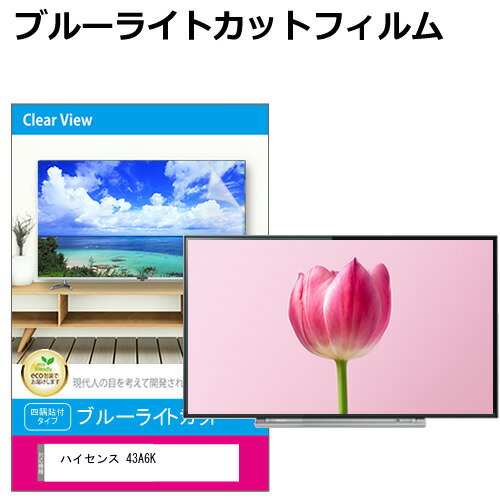 ハイセンス 43A6K 43インチ 液晶テレビ保護パネル 50型 ブルーライトカット テレビ保護パネル 50インチ 保護 フィルム 画面 モニター 破損 防止 有機ELテレビ UV 保護 テレビガード 薄型 カバー メール便送料無料