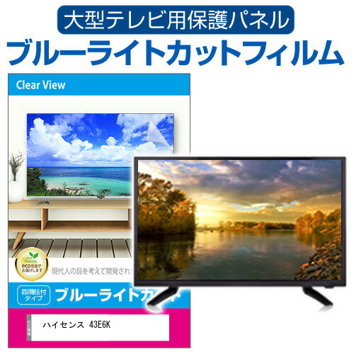 ハイセンス 43E6K [43インチ] 液晶テレビ保護パネル 43型 ブルーライトカット テレビ保護パネル 43インチ 保護 フィルム 画面 モニター 破損 防止 有機ELテレビ UV 保護 テレビガード 薄型 カバー メール便送料無料 jgs bgt 互換品