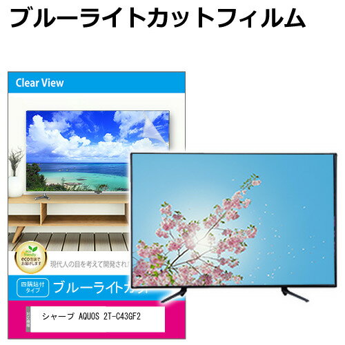 シャープ AQUOS 2T-C43GF2 [43インチ] 液