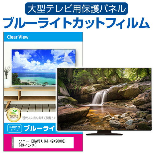 SONY BRAVIA KJ-49X9000E [49インチ] 液晶テ