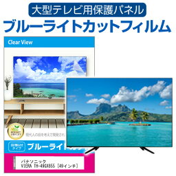 パナソニック VIERA TH-49GX855 [49インチ] 液晶テレビ保護パネル 49型 ブルーライトカット テレビ保護パネル 49インチ 保護 フィルム 画面 モニター 破損 防止 有機ELテレビ UV 保護 テレビガード 薄型 カバー