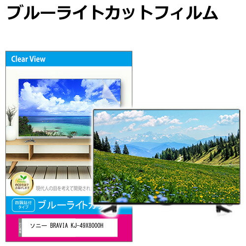 SONY BRAVIA KJ-49X8000H [49インチ] 液晶テ