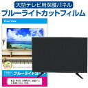 東芝 REGZA 50BM620X 液晶テレビ保護パネル 50型 ブルーライトカット テレビ保護パネル 50インチ 保護 フィルム 画面 モニター 破損 防止 有機ELテレビ UV 保護 テレビガード 薄型 カバー