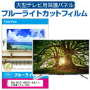 東芝 REGZA 50M520X 液晶テレビ保護パネル 50型 ブルーライトカット テレビ保護パネル 50インチ 保護 フィルム 画面 モニター 破損 防止 有機ELテレビ UV 保護 テレビガード 薄型 カバー