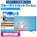 \スーパーSALE★10日限定最大P8倍!!/ ジョワイユ JOY-50TV4KUHD 液晶テレビ保護パネル 50型 ブルーライトカット テレビ保護パネル 50...
