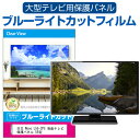 日立 Wooo L55-ZP5 液晶テレビ保護パネル 55型 ブルーライトカット テレビ保護パネル 55インチ 保護 フィルム 画面 モニター 破損 防止 有機ELテレビ UV 保護 テレビガード 薄型 カバー