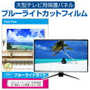 LGエレクトロニクス OLED55E9PJA 液晶テ