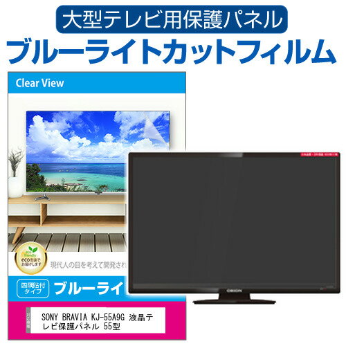 SONY BRAVIA KJ-55A9G 液晶テレビ保護パネ