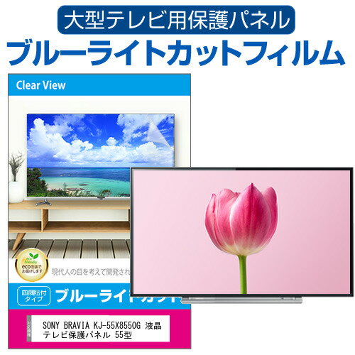 SONY BRAVIA KJ-55X8550G 液晶テレビ保護パ