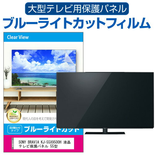 SONY BRAVIA KJ-55X9500H 液晶テレビ保護パ