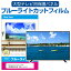 LGエレクトロニクス OLED55C2PJA [55インチ] 液晶テレビ保護パネル 55型 ブルーライトカット テレビ保護パネル 55インチ 保護 フィルム 画面 モニター 破損 防止 有機ELテレビ UV 保護 テレビガード 薄型 カバー メール便送料無料