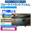 LGエレクトロニクス OLED55B2PJA [55インチ] 液晶テレビ保護パネル 55型 ブルーライトカット テレビ保護パネル 55インチ 保護 フィルム 画面 モニター 破損 防止 有機ELテレビ UV 保護 テレビガード 薄型 カバー メール便送料無料