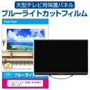 パナソニック VIERA TH-55LW1L [55インチ] 液晶テレビ保護パネル 55型 ブルーライトカット テレビ保護パネル 55インチ 保護 フィルム 画面 モニター 破損 防止 有機ELテレビ UV 保護 テレビガード 薄型 カバー メール便送料無料