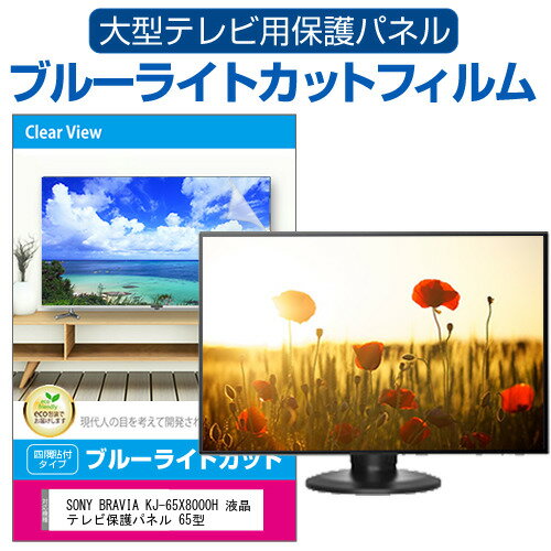 SONY BRAVIA KJ-65X8000H 液晶テレビ保護パ