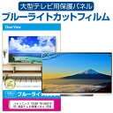 パナソニック VIERA TH-65HZ1000 液晶テレビ保護パネル 65型 ブルーライトカット テレビ保護パネル 65インチ 保護 フィルム 画面 モニター 破損 防止 有機ELテレビ UV 保護 テレビガード 薄型 カバー