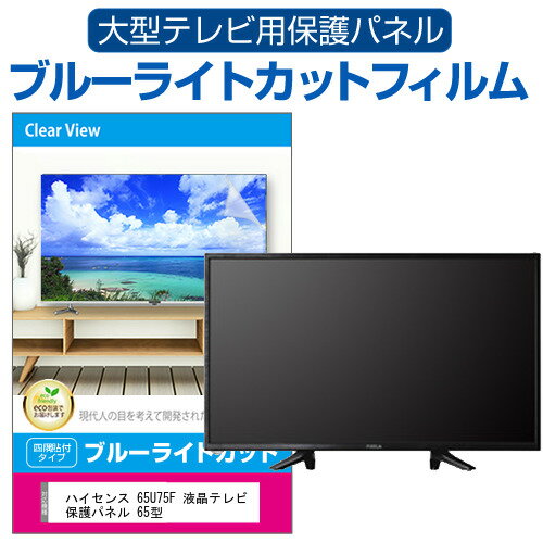 ハイセンス 65U75F 液晶テレビ保護パネル 65型 ブルーライトカット テレビ保護パネル 65インチ 保護 フィルム 画面 モニター 破損 防止 有機ELテレビ UV 保護 テレビガード 薄型 カバー