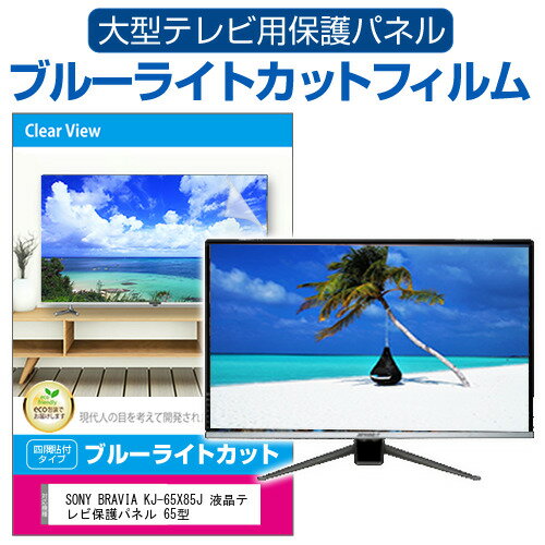 SONY BRAVIA KJ-65X85J 液晶テレビ保護パネル 65型 ブルーライトカット テレビ保護パネル 65インチ 保護 フィルム 画面 モニター 破損 防止 有機ELテレビ UV 保護 テレビガード 薄型 カバー