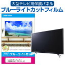 LGエレクトロニクス 65NANO75JPA  液晶テレビ保護パネル 65型 ブルーライトカット テレビ保護パネル 65インチ 保護 フィルム 画面 モニター 破損 防止 有機ELテレビ UV 保護 テレビガード 薄型 カバー メール便送料無料