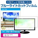 東芝 REGZA 65Z875L 65インチ 液晶テレビ保護パネル 65型 ブルーライトカット テレビ保護パネル 65インチ 保護 フィルム 画面 モニター 破損 防止 有機ELテレビ UV 保護 テレビガード 薄型 カバー メール便送料無料