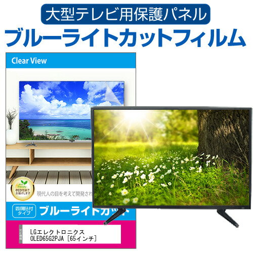 LGエレクトロニクス OLED65G2PJA 65インチ 液晶テレビ保護パネル 65型 ブルーライトカット テレビ保護パネル 65インチ 保護 フィルム 画面 モニター 破損 防止 有機ELテレビ UV 保護 テレビガード 薄型 カバー メール便送料無料