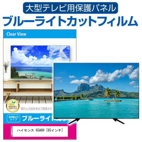 楽天液晶保護フィルムとカバーケース卸ハイセンス 65A6H [65インチ] 液晶テレビ保護パネル 65型 ブルーライトカット テレビ保護パネル 65インチ 保護 フィルム 画面 モニター 破損 防止 有機ELテレビ UV 保護 テレビガード 薄型 カバー メール便送料無料