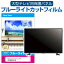 LGエレクトロニクス OLED65G3PJA [65インチ] 液晶テレビ保護パネル 65型 ブルーライトカット テレビ保護パネル 65インチ 保護 フィルム 画面 モニター 破損 防止 有機ELテレビ UV 保護 テレビガード 薄型 カバー メール便送料無料