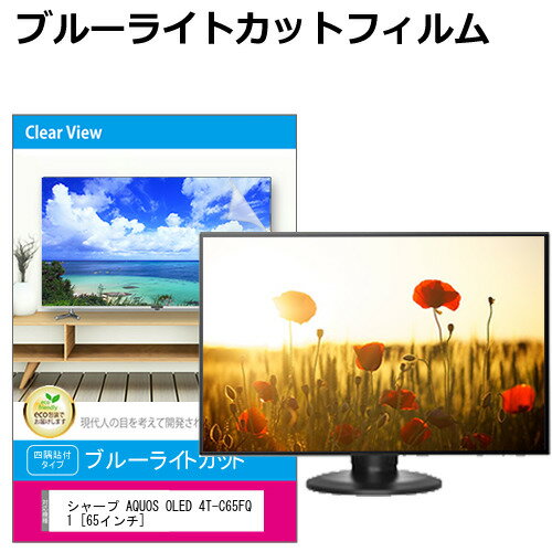 シャープ AQUOS OLED 4T-C65FQ1 [65インチ] 液晶テレビ保護パネル 65型 ブルーライトカット テレビ保護パネル 65インチ 保護 フィルム 画面 モニター 破損 防止 有機ELテレビ UV 保護 テレビガード 薄型 カバー メール便送料無料 jgs bgt 互換品 有償交換保証付き