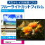 ＼10日はポイント10倍!!／ LGエレクトロニクス 65QNED90JQA [65インチ] 液晶テレビ保護パネル 65型 ブルーライトカット テレビ保護パネル 65インチ 保護 フィルム 画面 モニター 破損 防止 有機ELテレビ UV 保護 テレビガード 薄型 カバー メール便送料無料