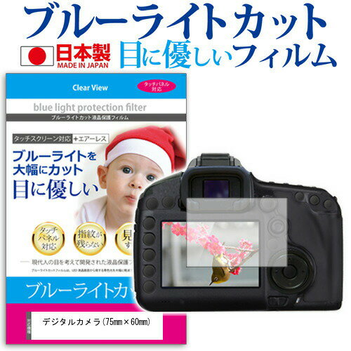 デジタルカメラ (75mm×60mm) ブルーライトカット 反射防止 指紋防止 気泡レス 抗菌 液晶保護フィルム メール便送料無料 jgs bgt 互換品