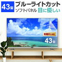 液晶テレビ保護パネル 43型 ブルーライトカット テレビ保護パネル 43インチ bravia ブラビア viera ビエラ regza レグザ 保護 フィルム 画面 モニター 破損 防止 UV 保護 テレビガード 薄型 カバー メール便 送料無料