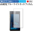 Fiio M11 Pro 専用 強化ガラス と 同等の 高硬度9H ブルーライトカット クリア光沢 保護フィルム メール便送料無料 jgs bgt