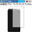 HiBy R8 専用 強化ガラス と 同等の 高硬度9H ブルーライトカット クリア光沢 保護フィルム メール便送料無料 jgs bgt