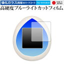 \10日はP最大8倍!!/ えくすてらっち 専用 強化ガラス と 同等の 高硬度9H ブルーライトカット クリア光沢 保護フィルム メール便送料無料 jgs bgt(3)
