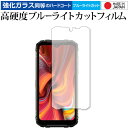 ＼5日はポイント10倍／ DOOGEE S96 Pro 専用 強化ガラス と 同等の 高硬度9H ブルーライトカット クリア光沢 保護フィルム メール便送料無料