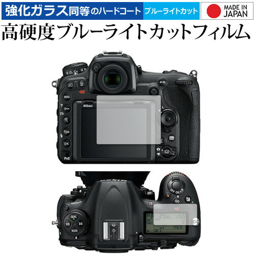 Nikon D500 [ᥤ ] ݸ ե 9H ֥롼饤ȥå ꥢ